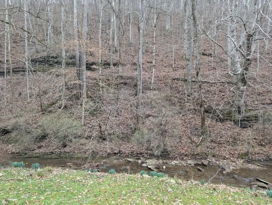 456 Arnetts Fork Road, Big Creek, KY 40914 - #3