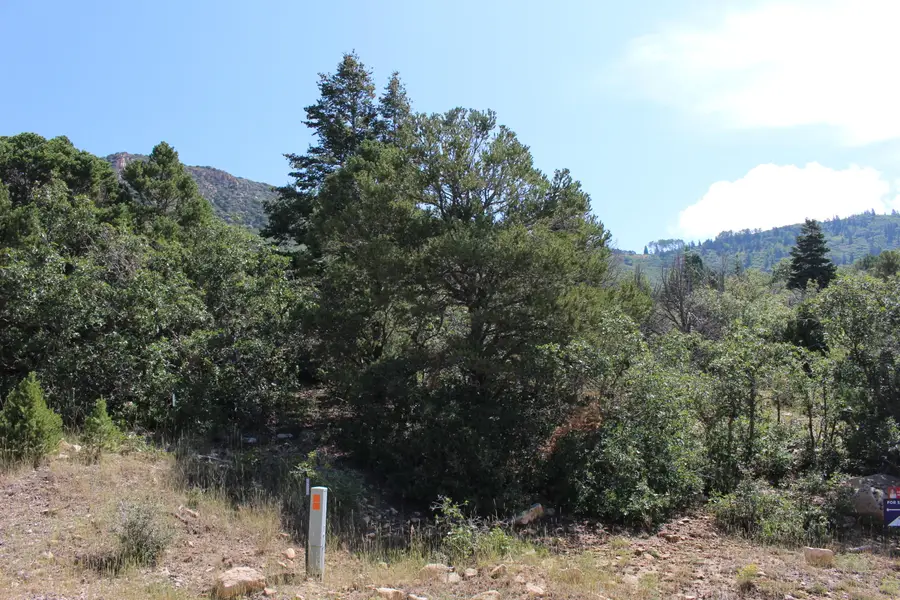 2289 S High Mountain Dr, Cedar City, UT 84721 - #3