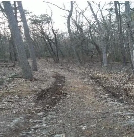 0 Quinton Marlboro Rd, Bridgeton, NJ 08302 - Image #3