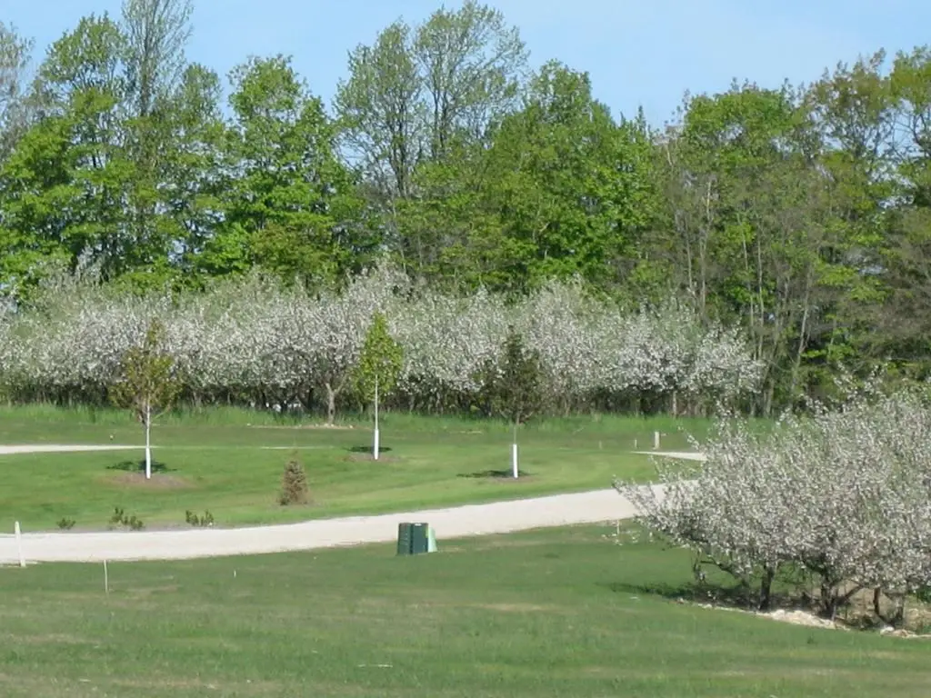 4570 Shinnecock Ct, Egg Harbor, WI 54209 - #1