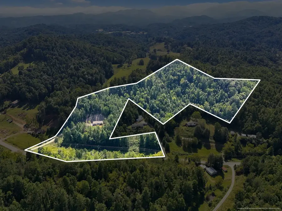1001 Fisher Lane, Marshall, NC 28753 - #3