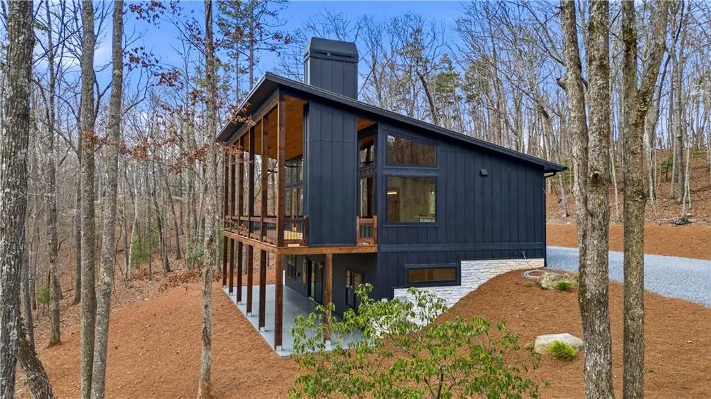 221 Gold Mine Road, Morganton, GA 30560 - #1
