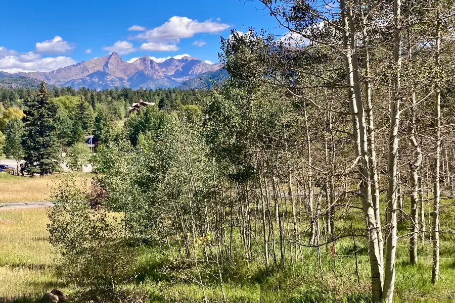 75 Falcon Ridge Road, Durango, CO 81301 - #2