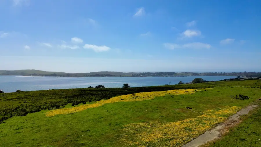 480 Highway 1, Bodega Bay, CA 94923 - #3