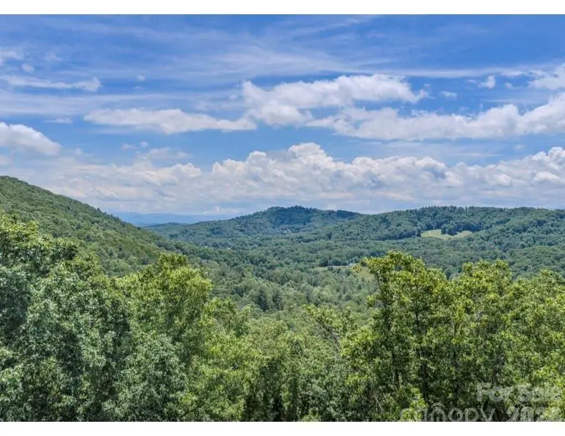 10 Fall Mountain Road #56, Asheville, NC 28803 - #2