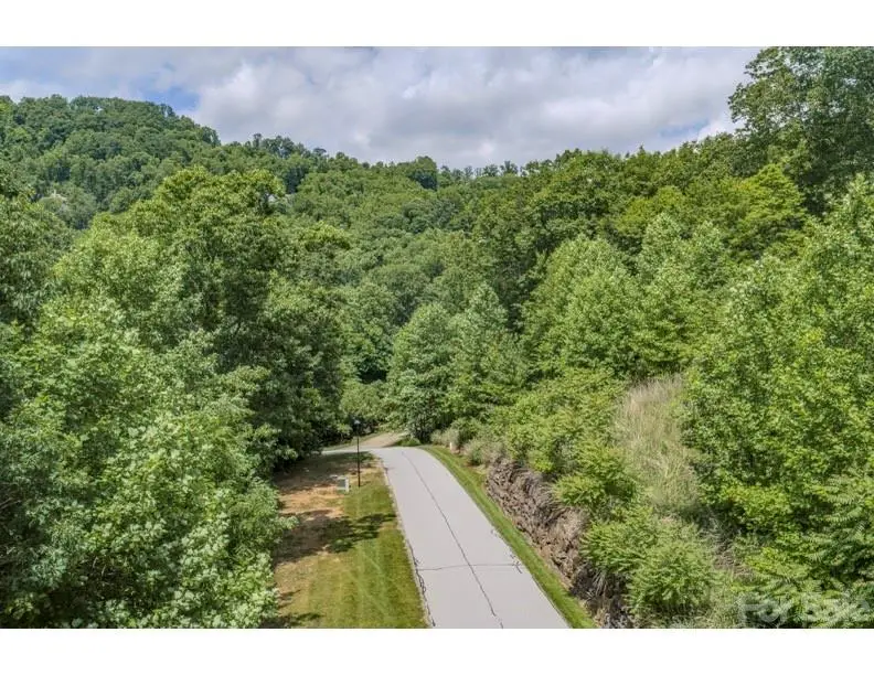 10 Fall Mountain Road #56, Asheville, NC 28803 - #3