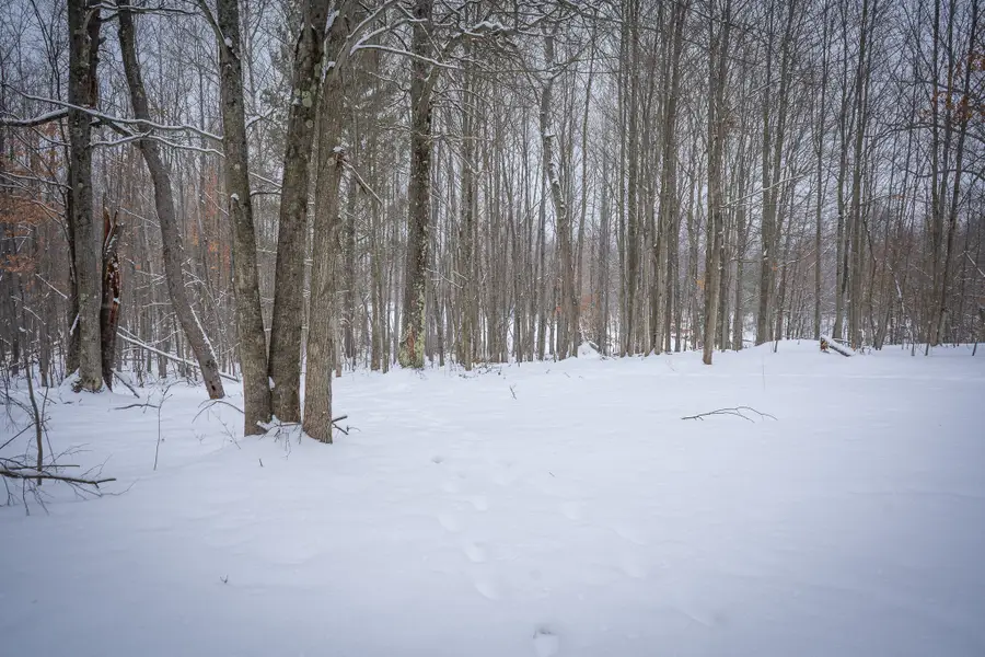 5970 E 68th Street, Chase, MI 49623 - #3