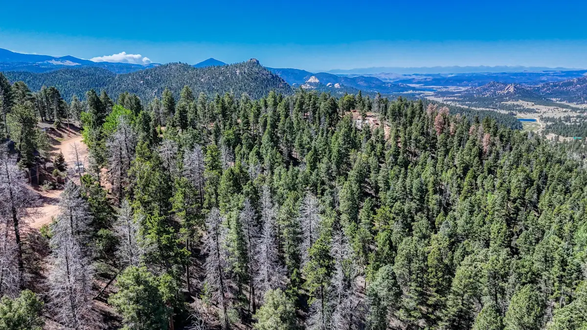 3454 N Mountain Estates Road, Florissant, CO 80816 - #1