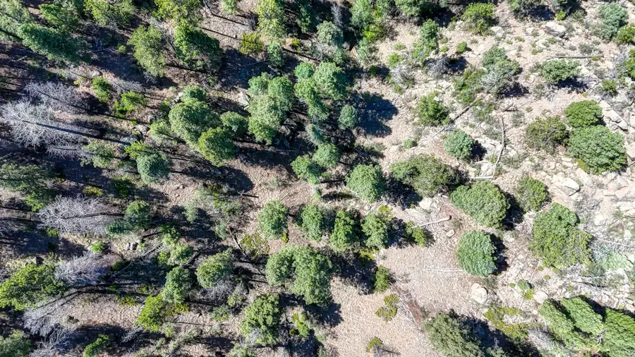 3454 N Mountain Estates Road, Florissant, CO 80816 - #3