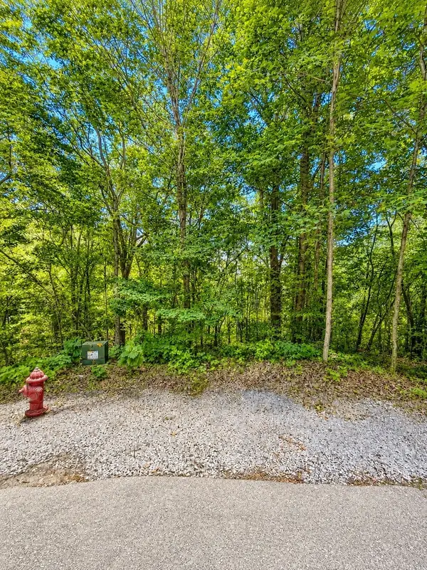 0 Woodcrest Dr, Smithville, TN 37166