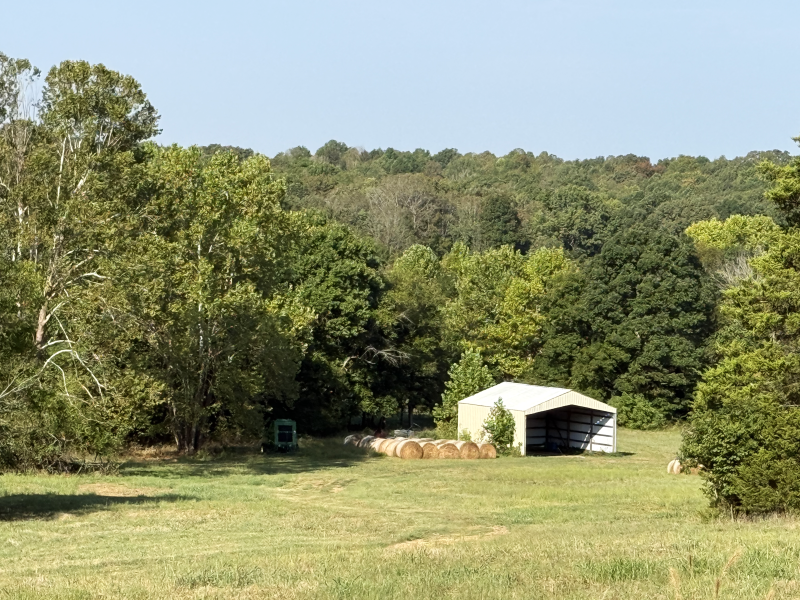 Off of Law 107, Ravenden, AR 72459 - #1