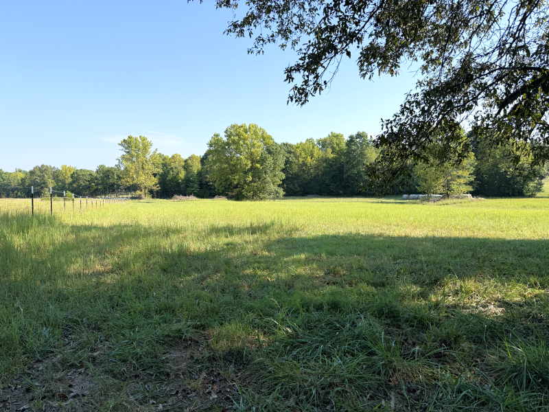 Off of Law 107, Ravenden, AR 72459 - #3