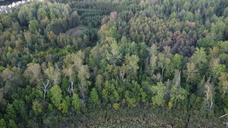 Parcel B E Gunn Lake Trail, Marcell, MN 56657 - #3