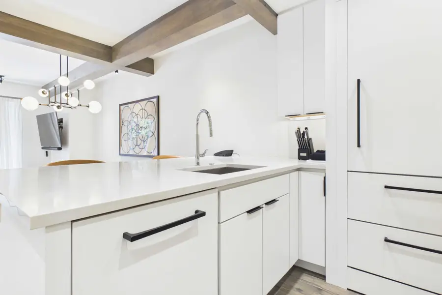 610 S West End Street #K203, Aspen, CO 81611 - #2
