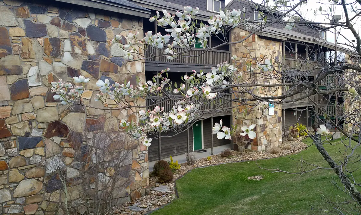 1380 Ski View Drive #1301, Gatlinburg, TN 37738 - Image #1