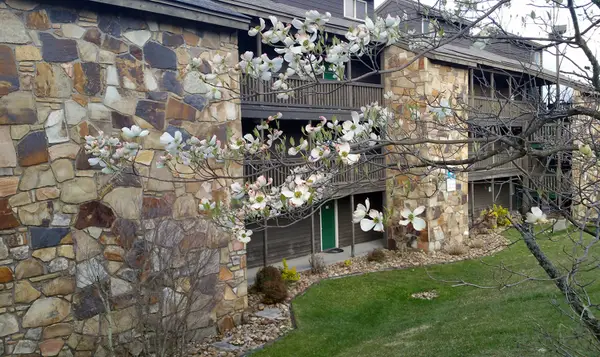 1380 Ski View Drive #1301, Gatlinburg, TN 37738