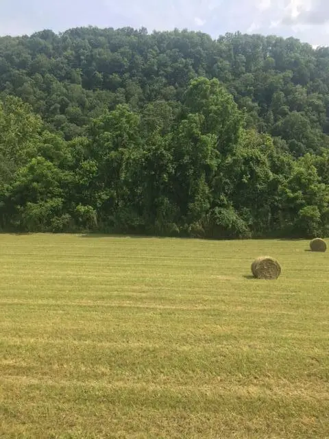 00 Hatfield Road, Tazewell, TN 37879