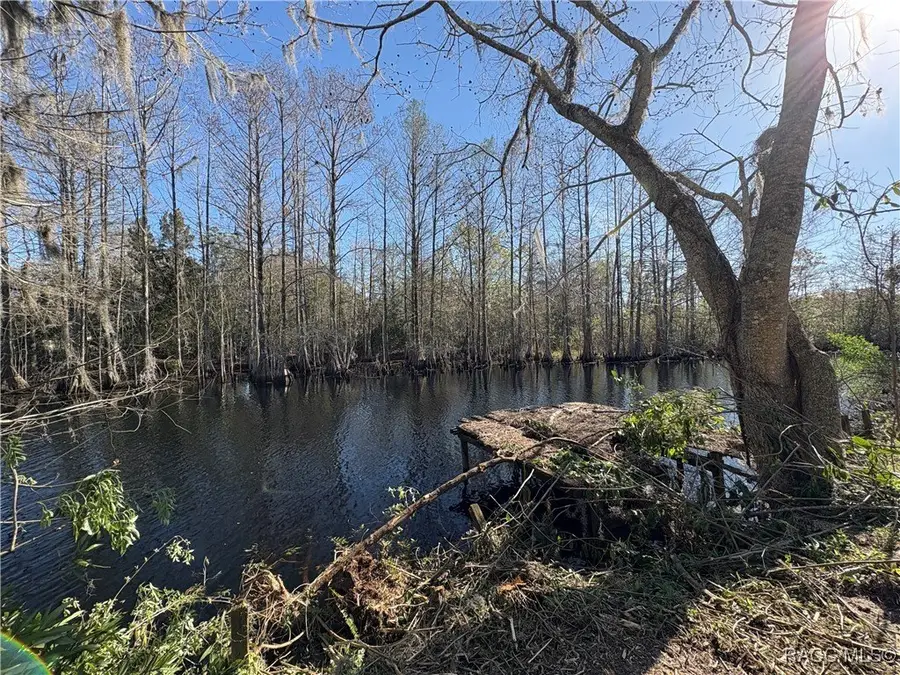 10500 E Gobbler Drive, Floral City, FL 34436 - #3