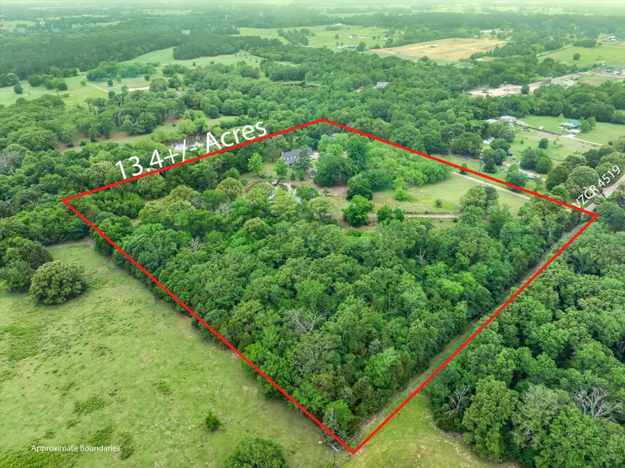 1434 Vz County Road 4519, Van, TX 75790 - #3
