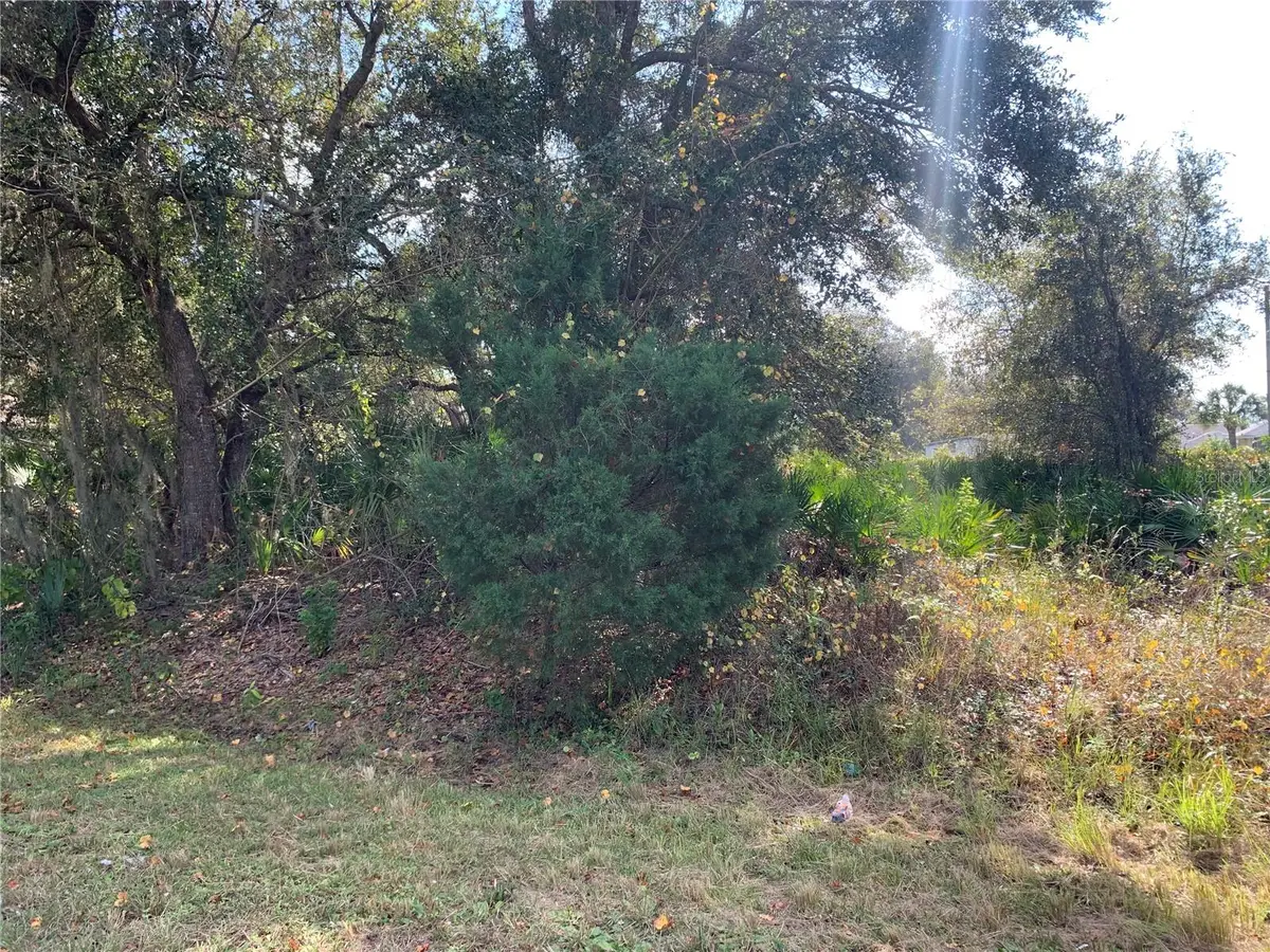 Manthey Avenue, North Port, FL 34291 - Image #1