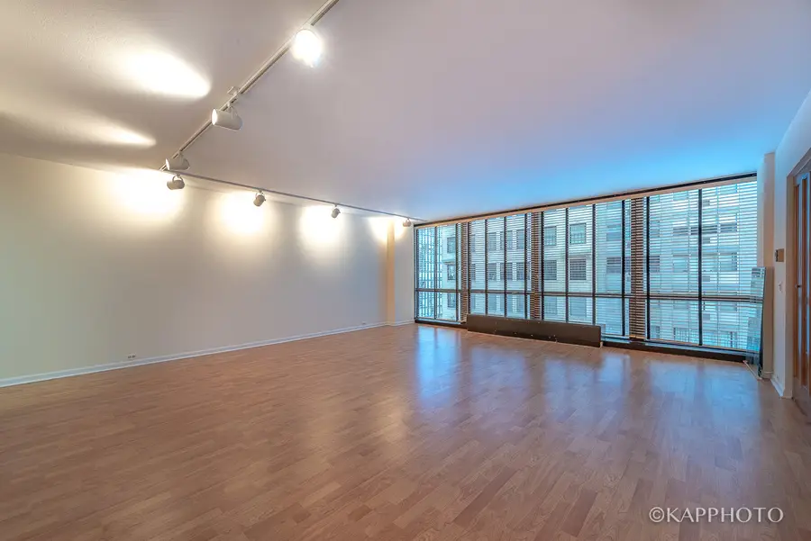900 N Lake Shore Drive #702, Chicago, IL 60611 - #3