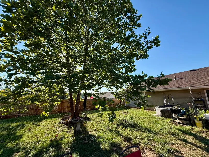 138 Sycamore Trail, Somerset, KY 42501 - #3