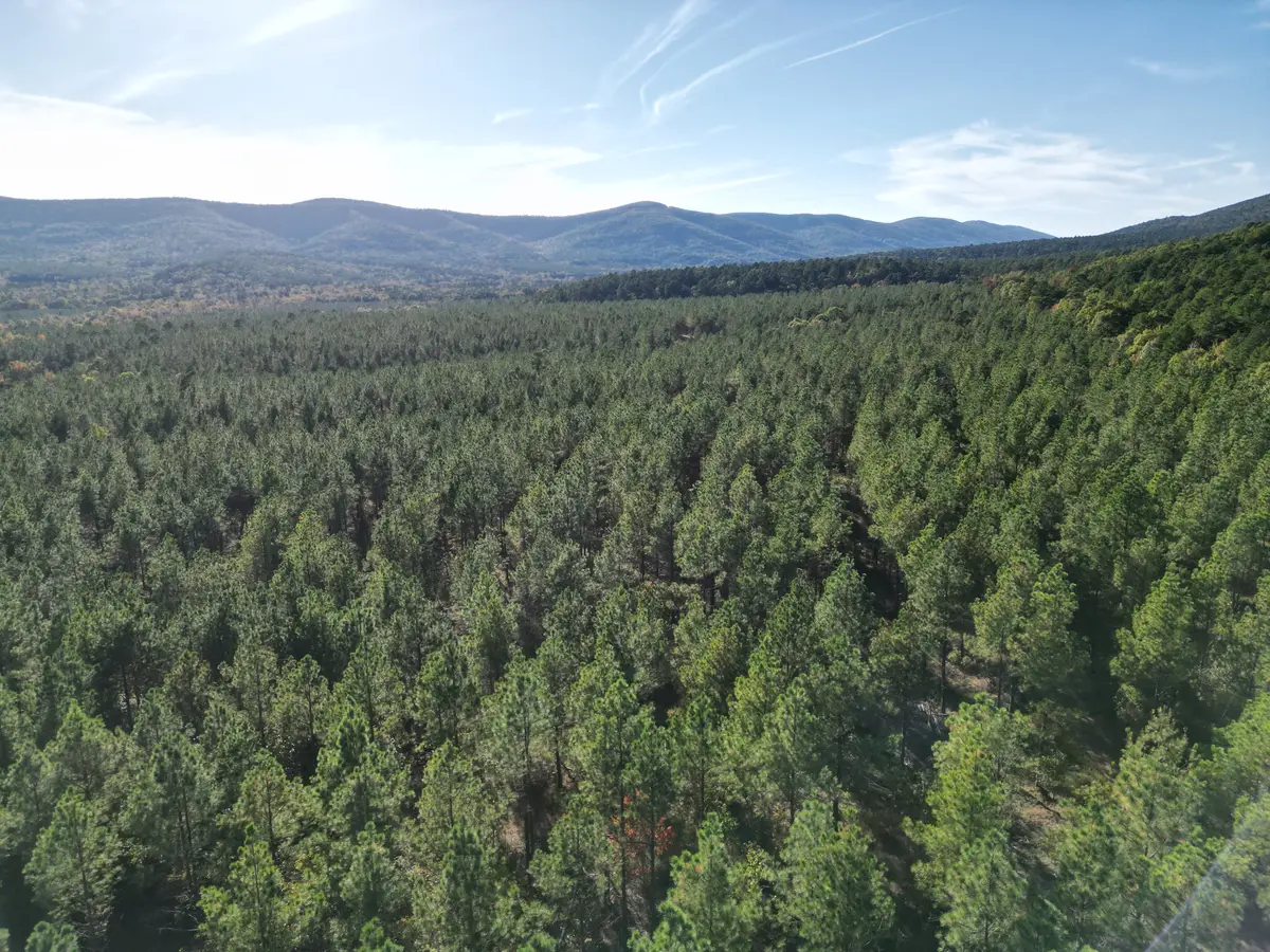 Unk Polk Road 90, Mena, AR 71953 - Image #1