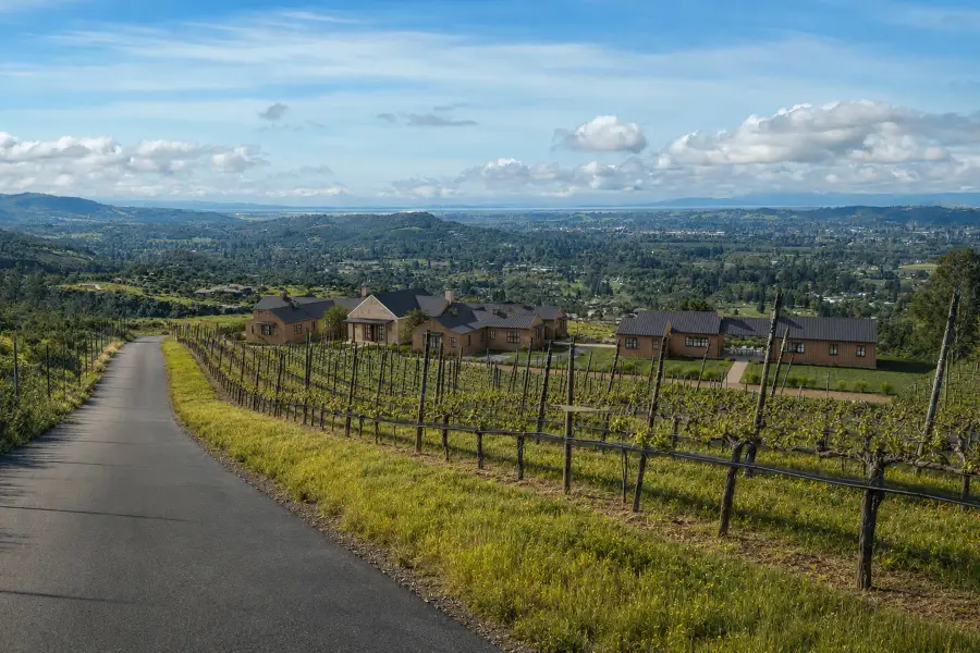 2520 Atlas Peak Road, Napa, CA 94558 - #2