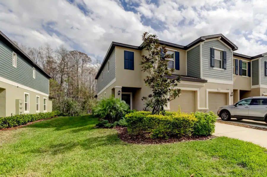 17567 Nectar Flume Dr, Land O Lakes, FL 34638 - #2