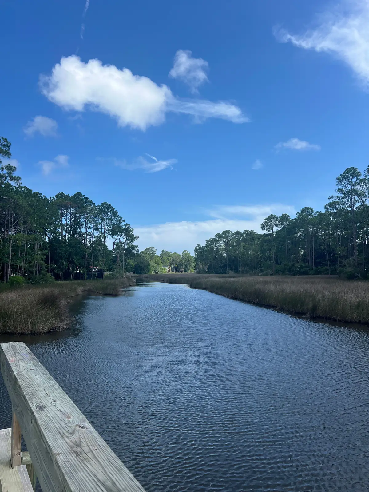 1185 N Co Highway 393, Santa Rosa Beach, FL 32459 - #1