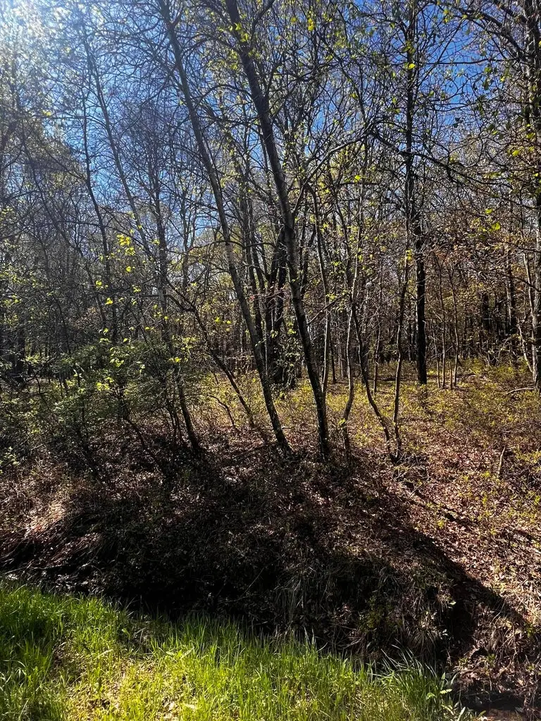 lot 5915 Wild Laurel Drive, Long Pond, PA 18334 - Image #3