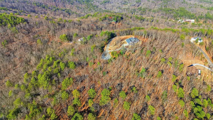 LOT 59 Mountain Sweet Drive, Clarkesville, GA 30523 - #2