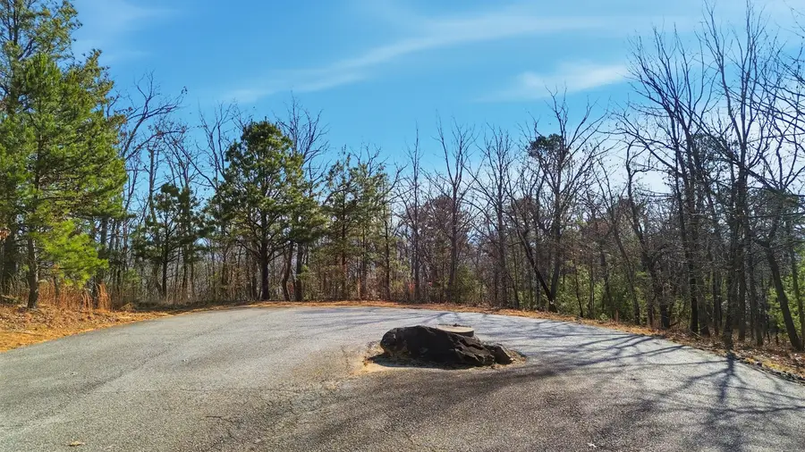 LOT 59 Mountain Sweet Drive, Clarkesville, GA 30523 - #3