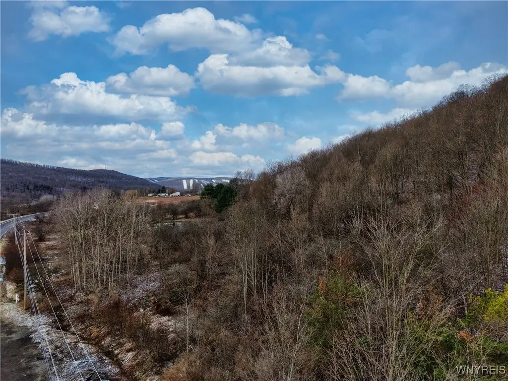 6010 Nys Rte 242 Lot #6, Ellicottville, NY 14731 - #1