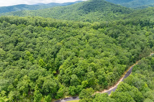 99999 May Fly Lane #116, Horse Shoe, NC 28742