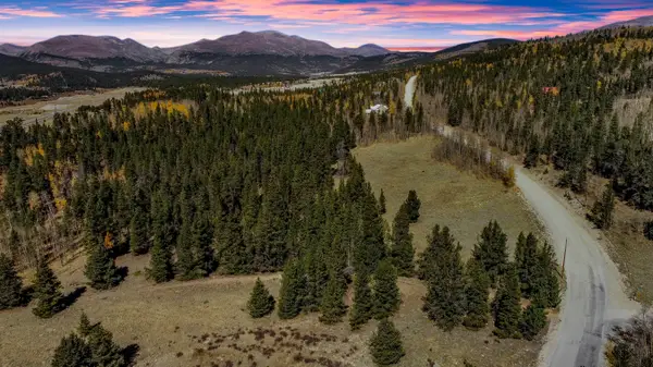 112 Platte River Drive, Fairplay, CO 80440