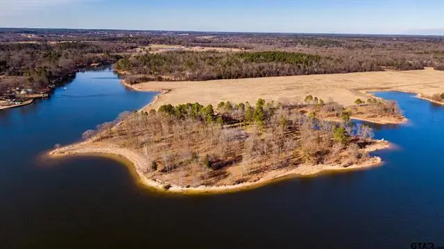 Lot 13 Eagle's Nest Drive, Mount Vernon, TX 75457 - #3
