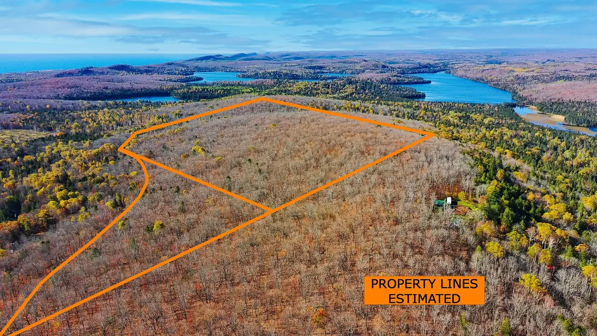 xx W Deeryard Lake Rd, Lutsen, MN 55612 - #1