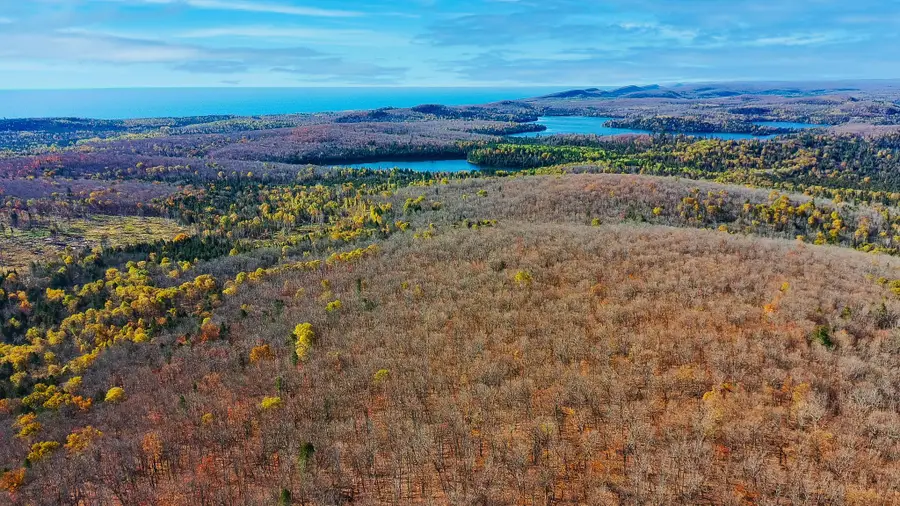 xx W Deeryard Lake Rd, Lutsen, MN 55612 - #2