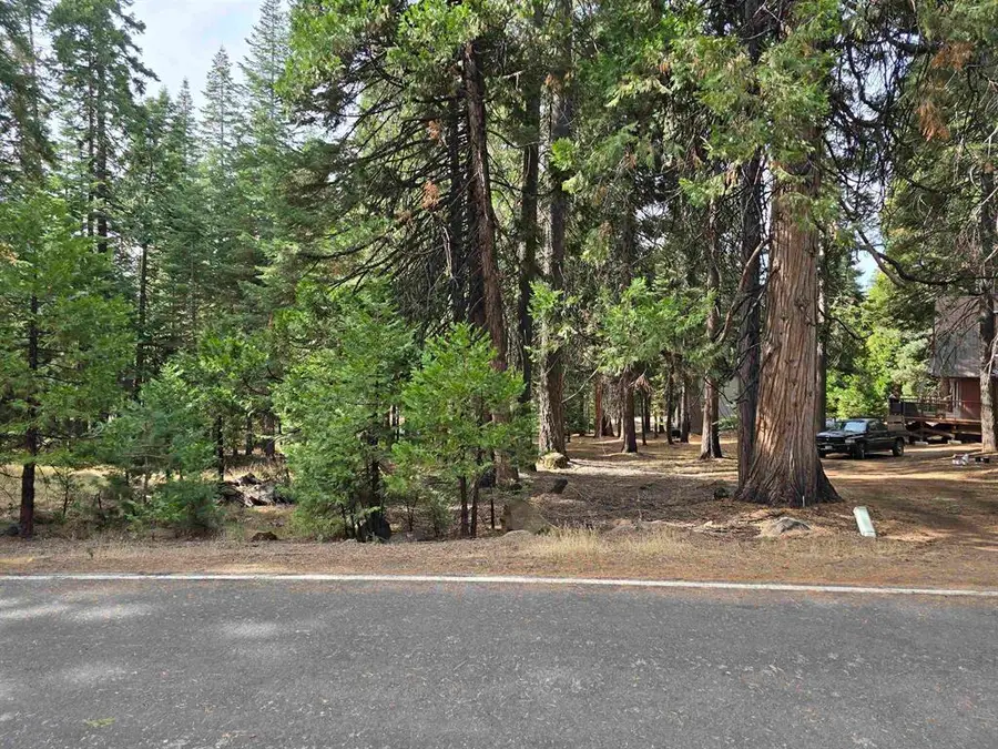 615 Clifford Trail, Lake Almanor, CA 96137 - Image #2