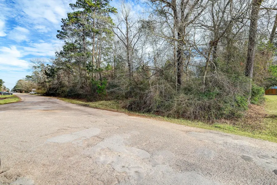 22648 Ford Road, Porter, TX 77365 - Image #2