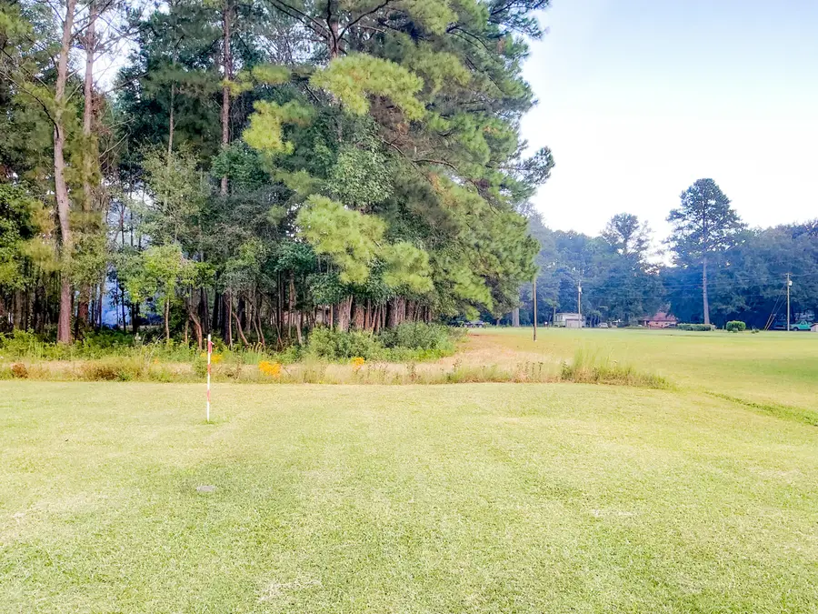 839 Burgin Road, McClellanville, SC 29458 - #2