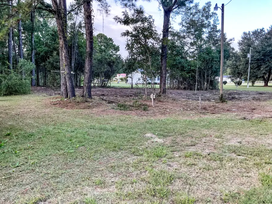 839 Burgin Road, McClellanville, SC 29458 - #3