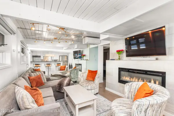 630 E Cooper Avenue #4, Aspen, CO 81611