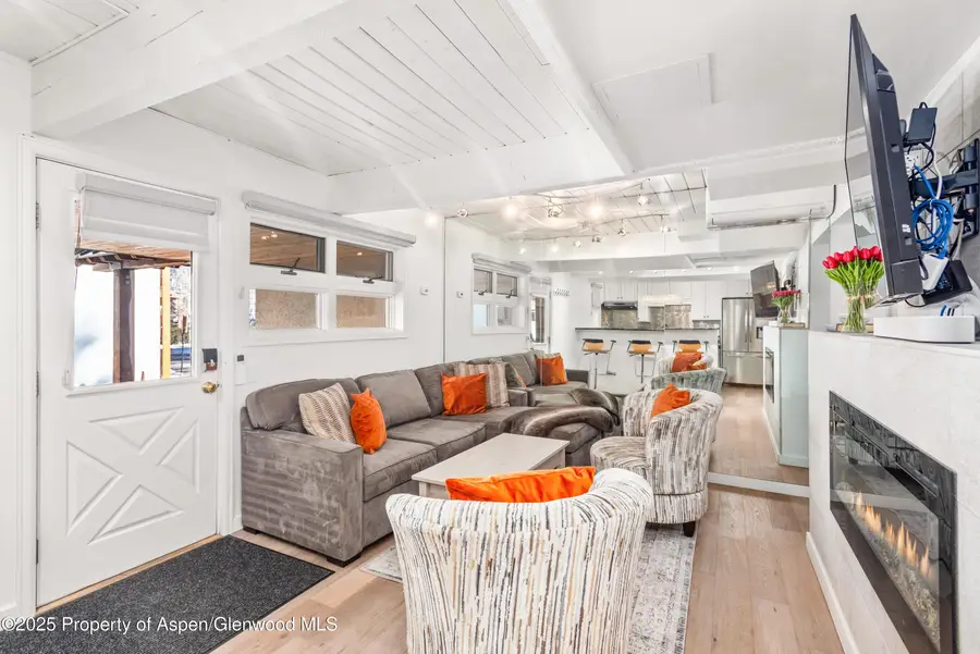 630 E Cooper Avenue #4, Aspen, CO 81611 - #2
