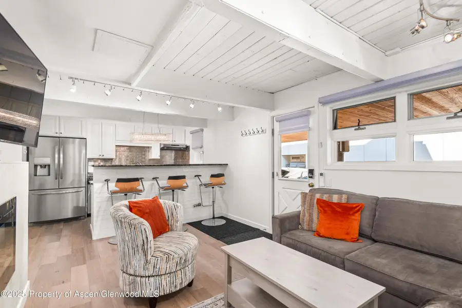 630 E Cooper Avenue #4, Aspen, CO 81611 - #3