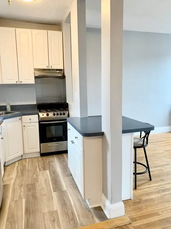 22 Orkney Road #32, Boston, MA 02135 - #3