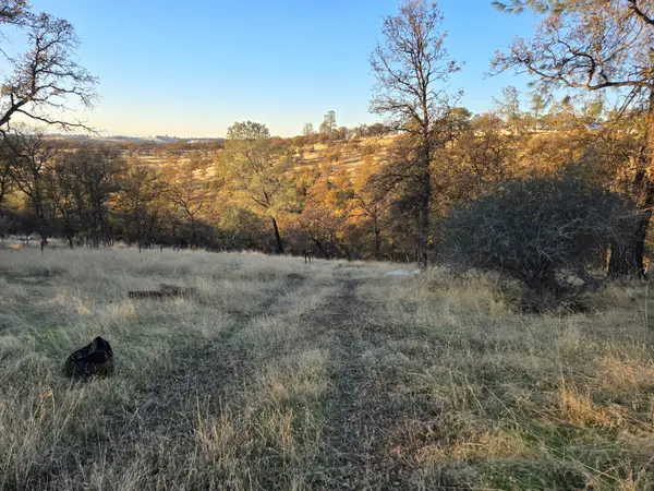 0 Avacado Road, Bangor, CA 95914