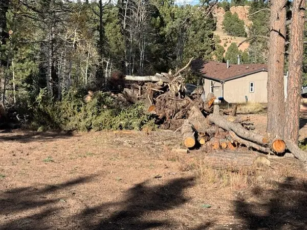 195 Oxford Place, Florissant, CO 80816