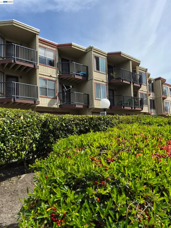 20980 Birch #C, Hayward, CA 94541